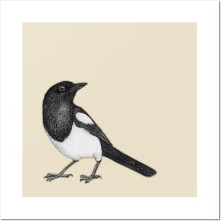 Magpie Posters and Art